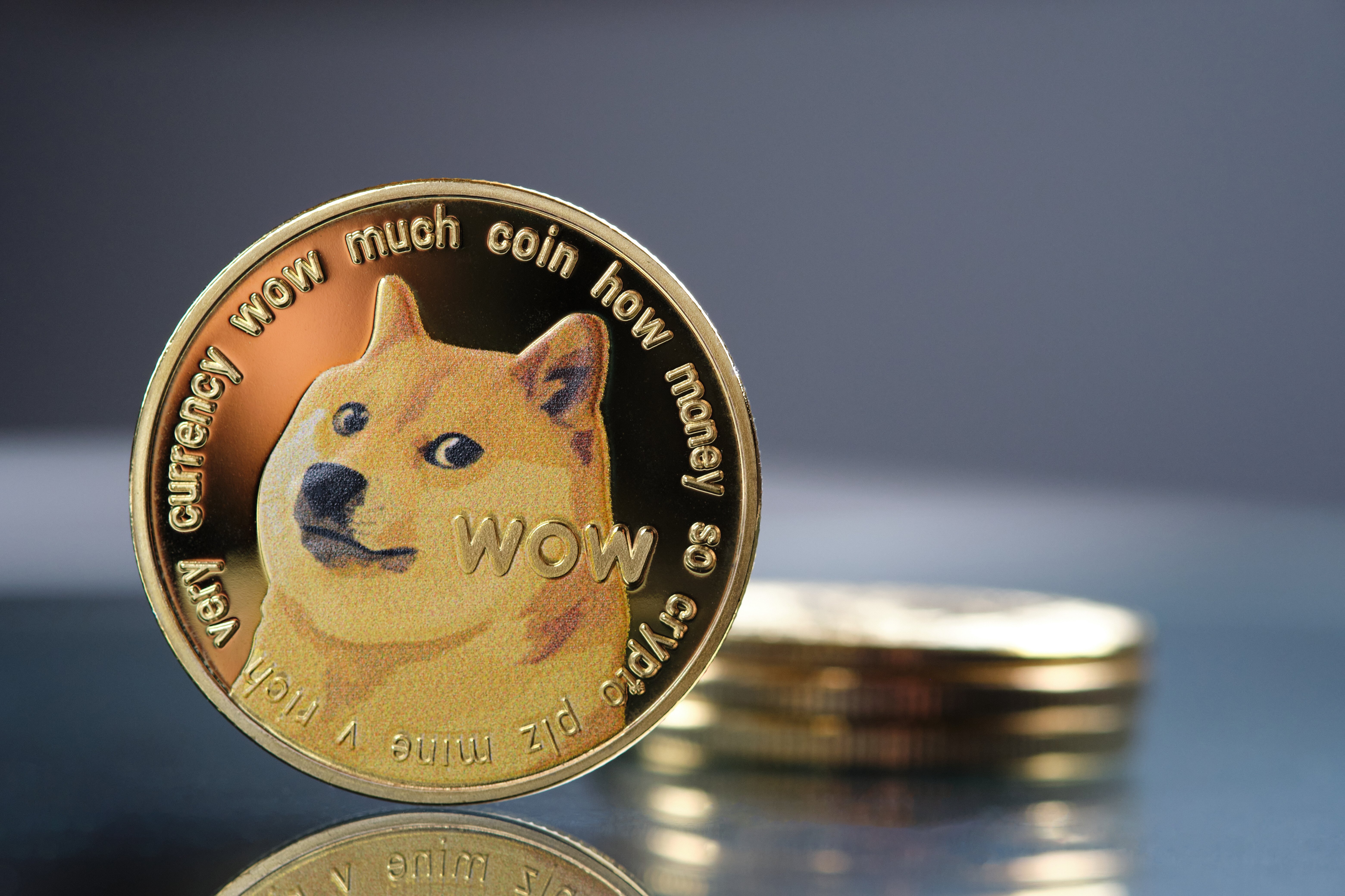 Dogecoin Price Prediction - 