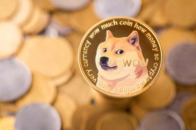 Dogecoin price - Live value & realtime DOGE/EUR price | BLOX