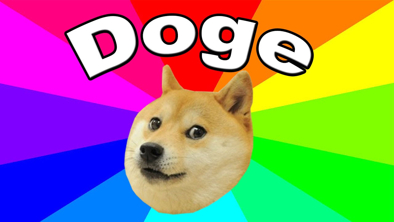 Doge (meme) - Wikipedia