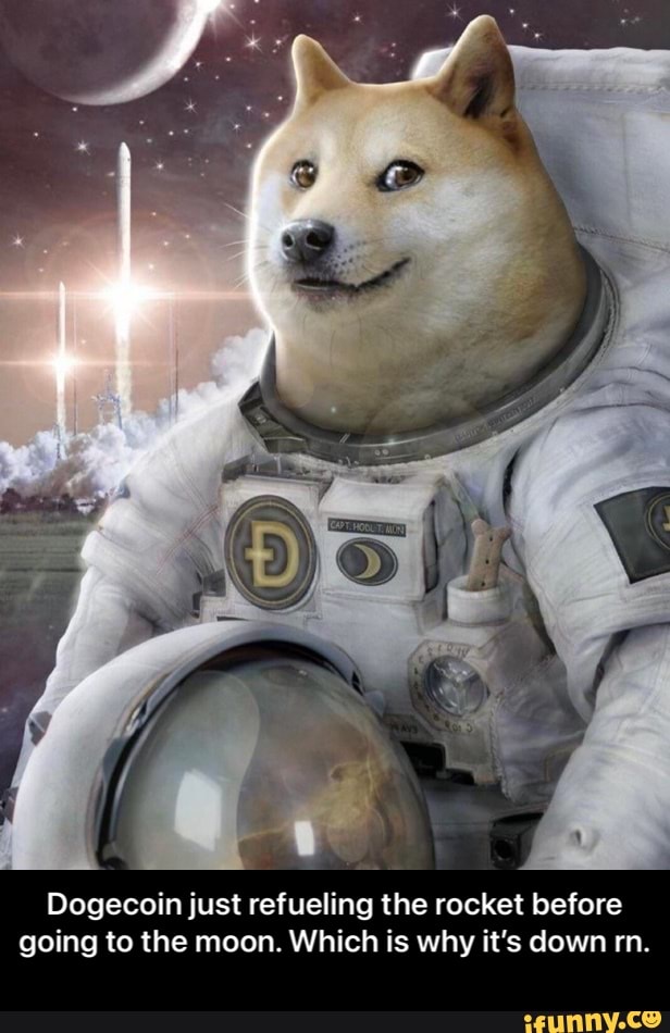 Elon Musk Hints Dogecoin Will 'Moon' When He Hosts Saturday Night Live | CoinMarketCap