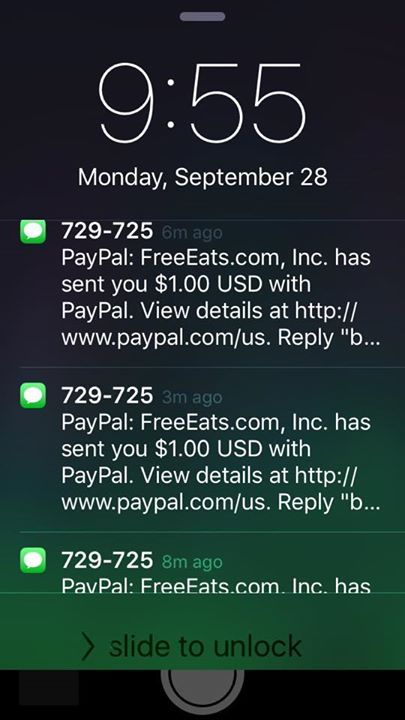 cryptolove.fun Guide - Watch Out for This PayPal Text Message Scam