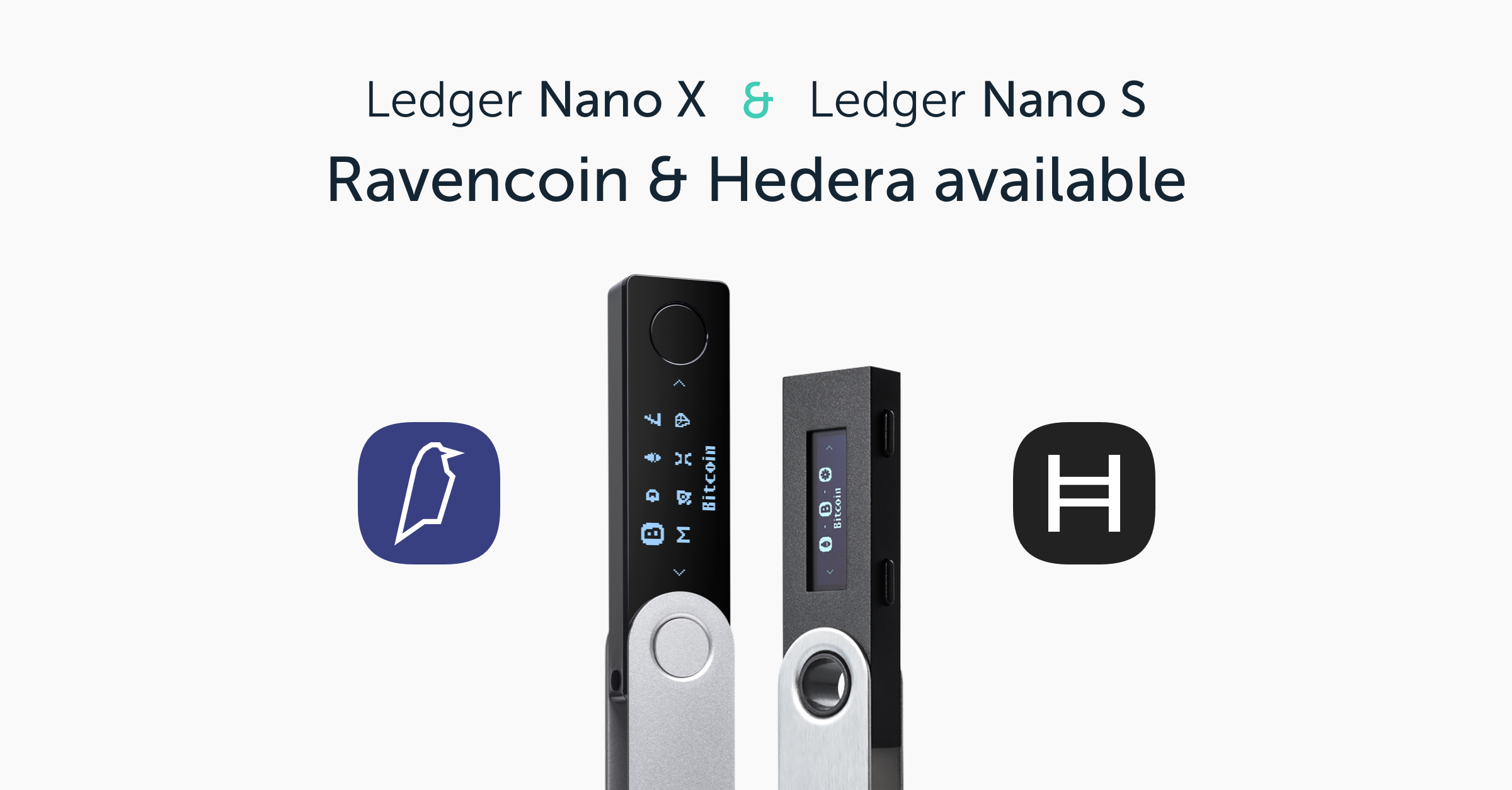 Hedera Wallet | Ledger