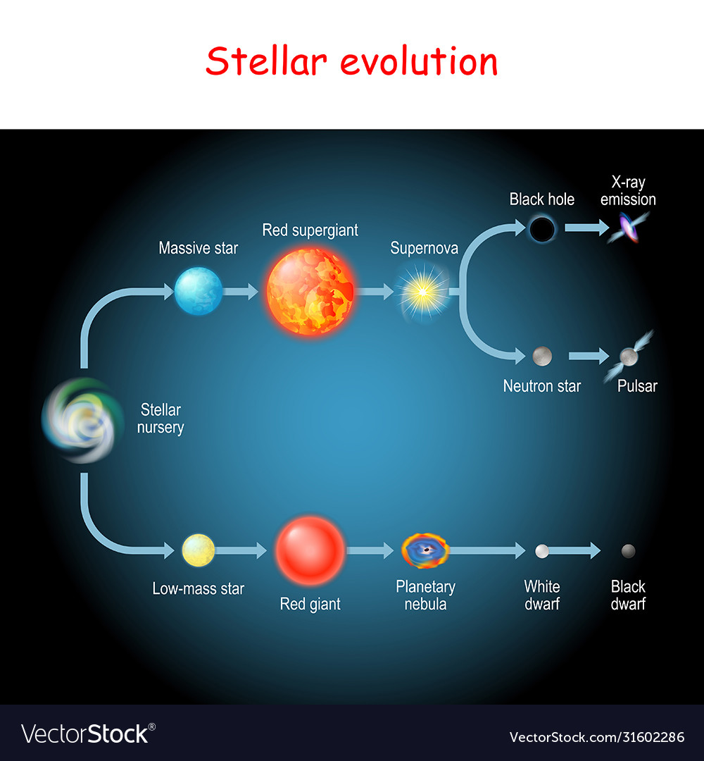 Stellar evolution - Oxford Reference