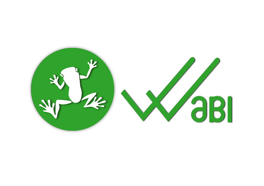 WaBi Price Today - WABI to US dollar Live - Crypto | Coinranking