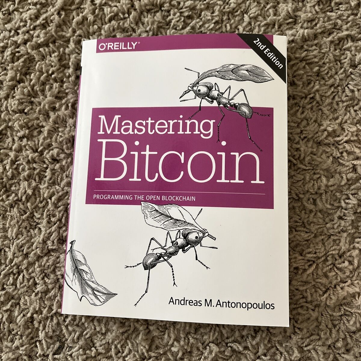 Mastering Bitcoin 2nd : Free Download, Borrow, and Streaming : Internet Archive