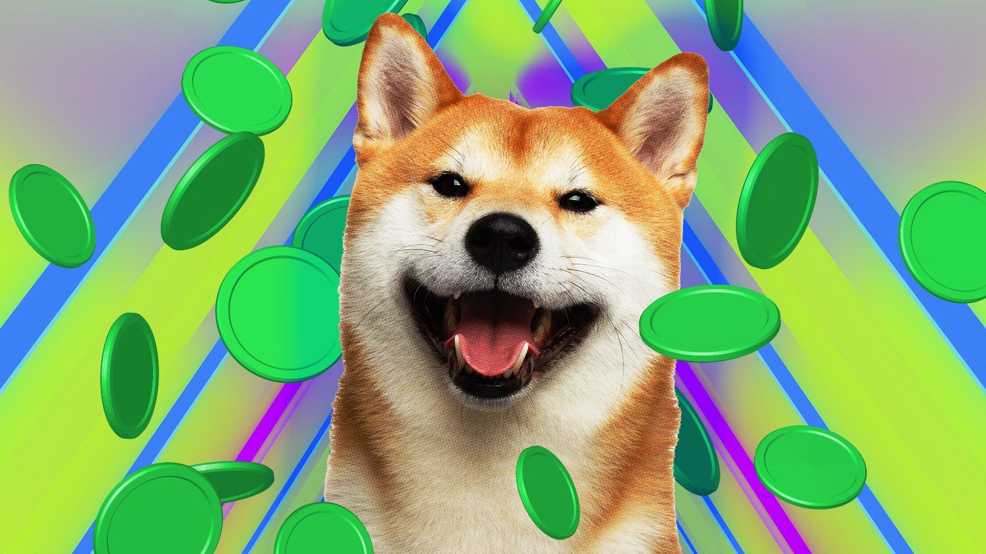 DOGE to EUR - Find DOGECOIN Price in EUR in India - Mudrex