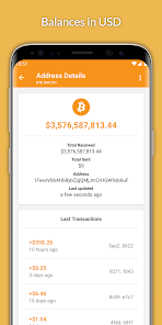 Bitcoin Blockchain Explorer: find any bitcoin transaction with BTCScan