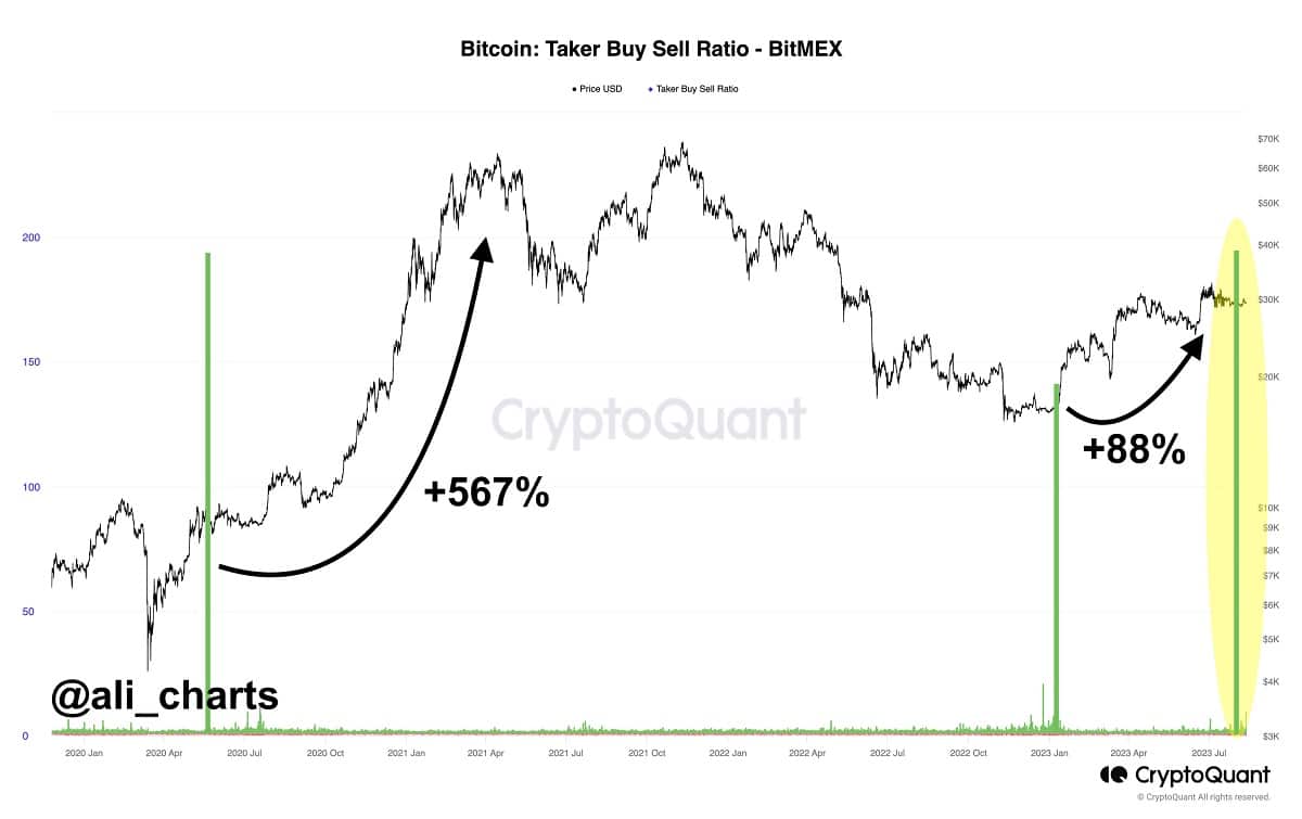 Stock Chart Icon