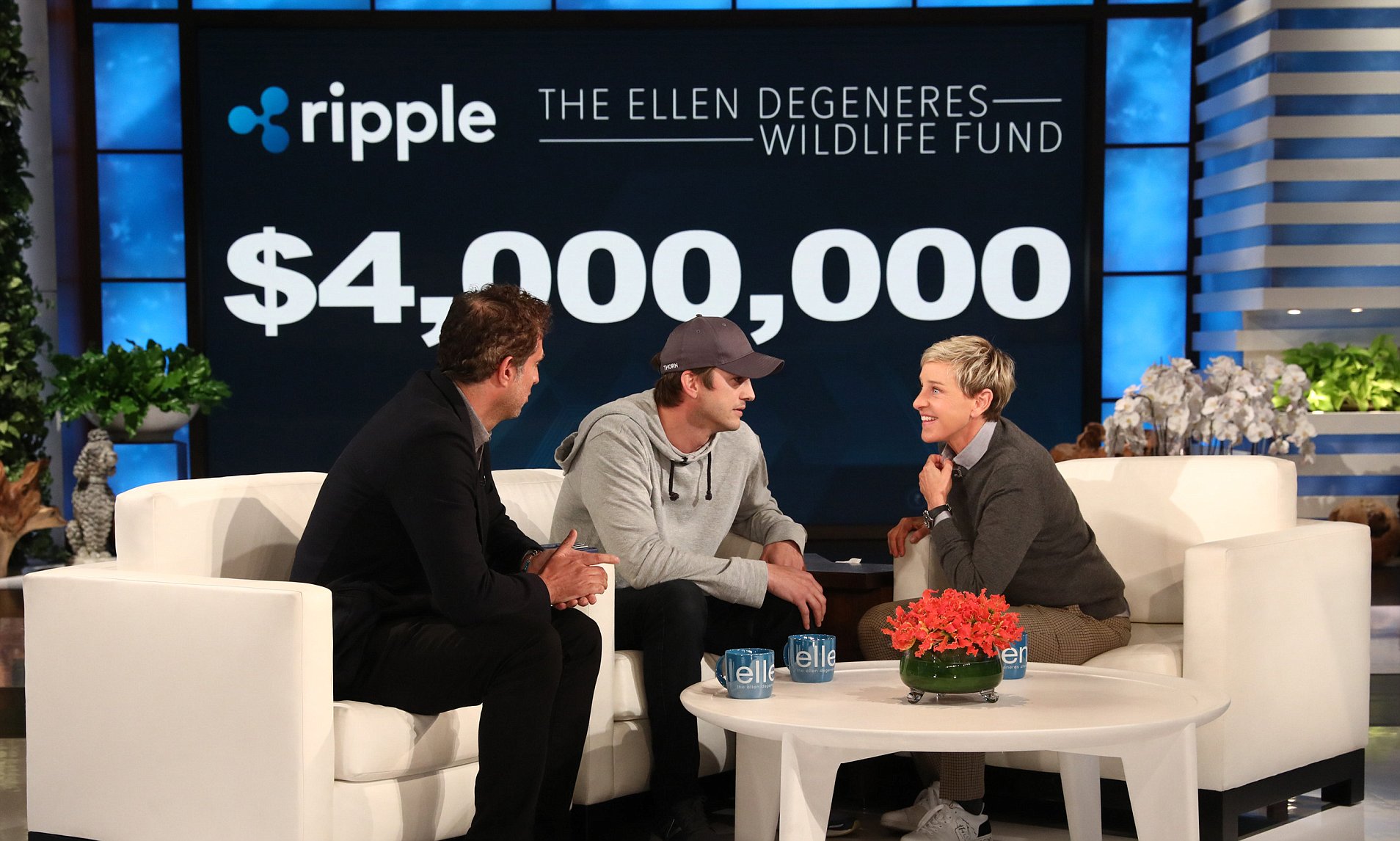 Ashton Kutcher Donated $4 Million Ripple to Ellen Degeneres’s Wildlife