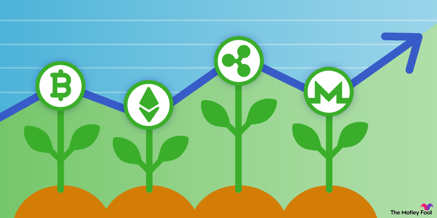 5 Blockchain Stocks to Consider in - NerdWallet