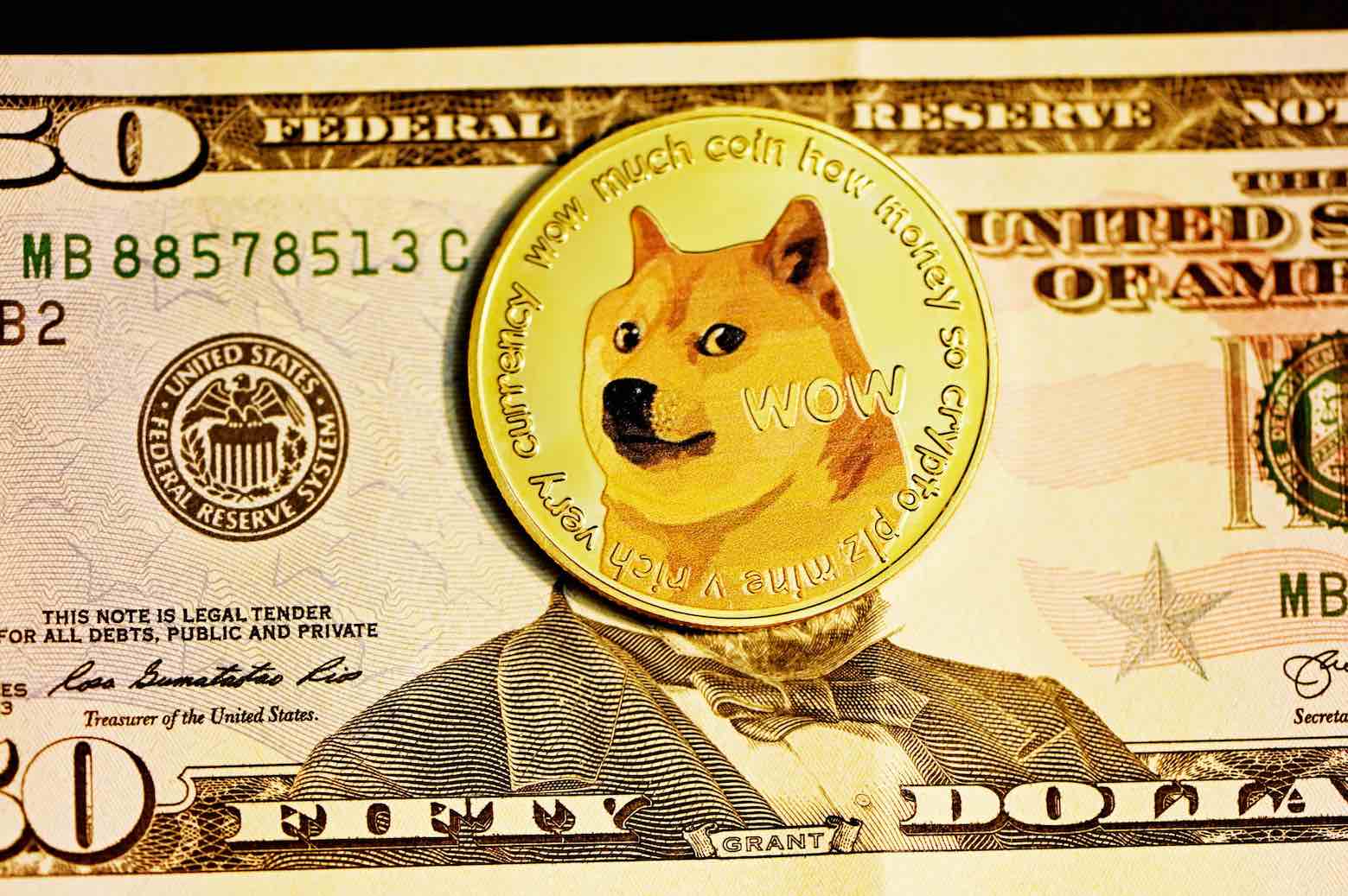 Convert 1 DOGE to USD - Dogecoin price in USD | CoinCodex