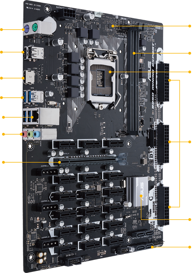 ASUS B Mining Expert board: support for 19 x GPUs