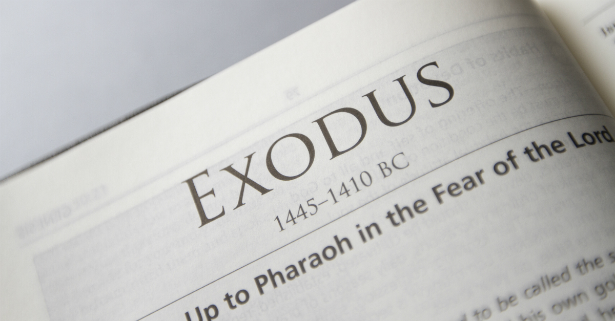 EXODUS Synonyms: 31 Similar and Opposite Words | Merriam-Webster Thesaurus