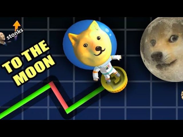 Dogecoin Yolo 3D