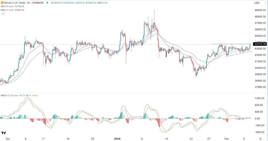 BTC to USD, Convert Bitcoin to United States Dollar