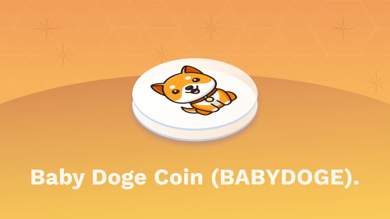 Baby Dogecoin: What It Is, Price and Should You Buy? | GOBankingRates