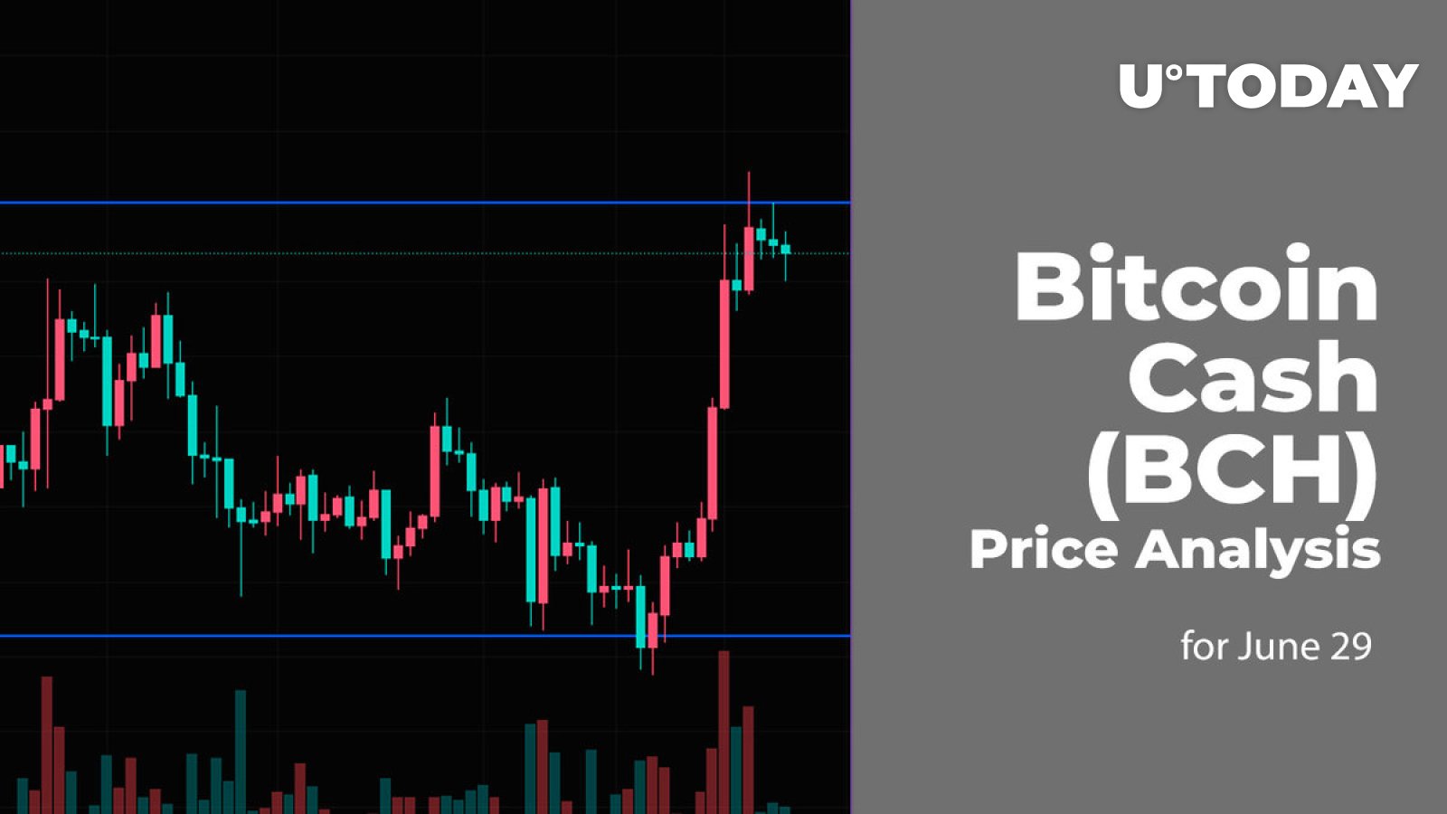 Bitcoin Cash to Euro - BCH to EUR chart | cryptolove.fun