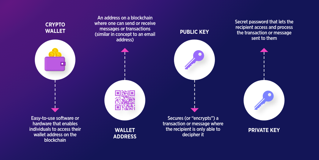 What Is A Bitcoin Wallet and How Does it Work? | Ledger