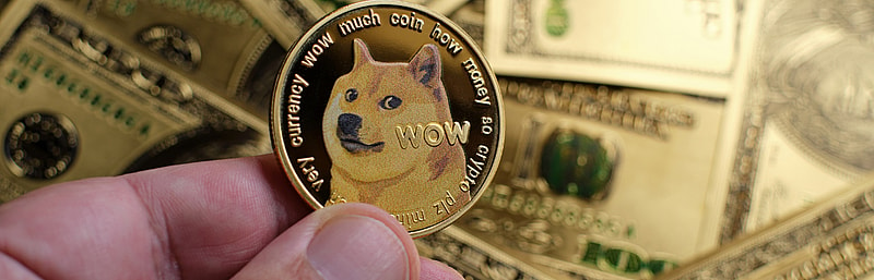 What Is the Best Dogecoin Wallet?