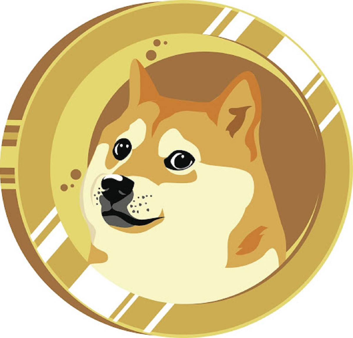 Price of dogecoin rises by 50% following Elon Musk tweet | Stock markets | The Guardian