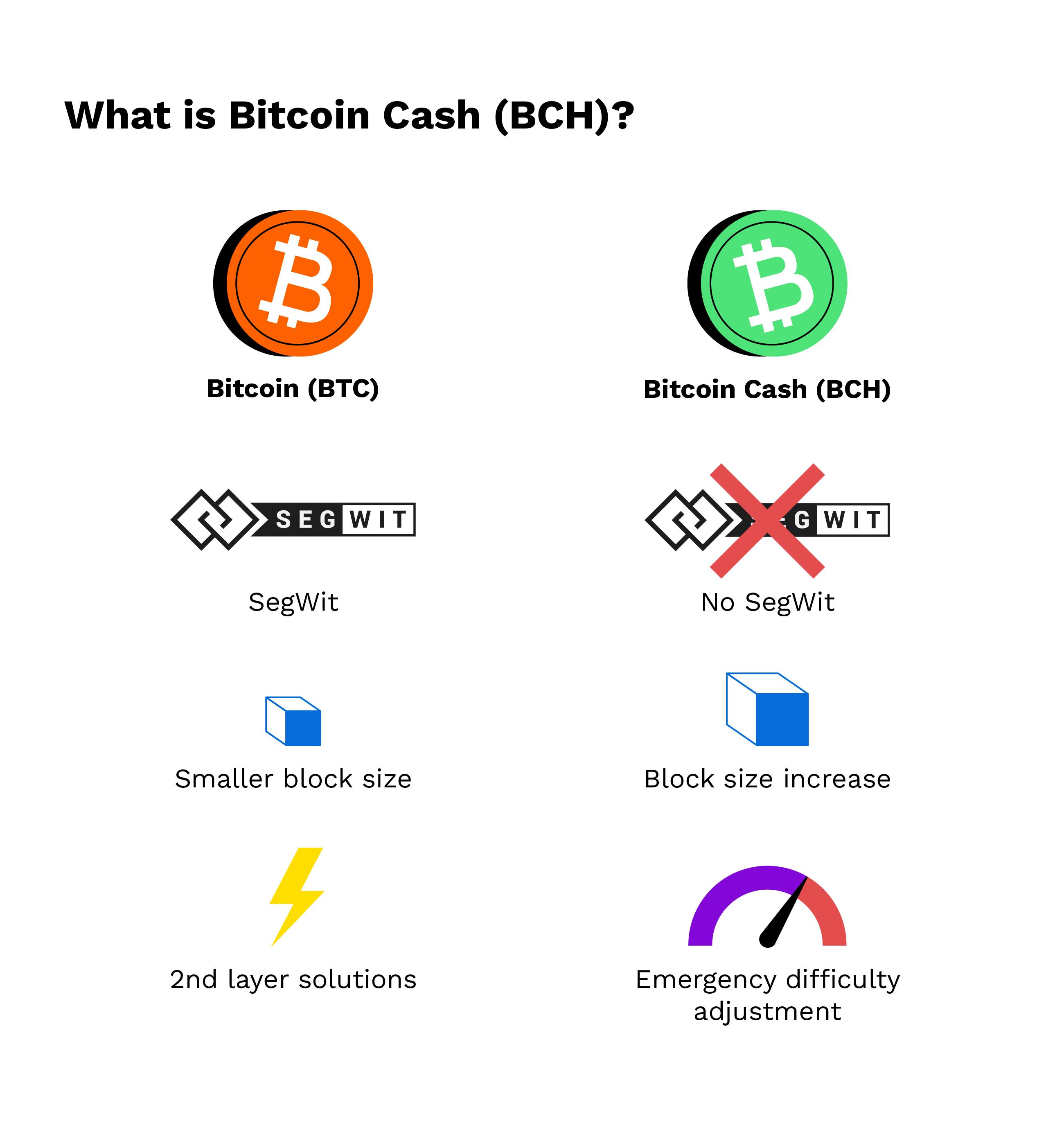 Bitcoin vs Bitcoin Cash vs Ethereum vs Litecoin: Which Wins? - tastycrypto