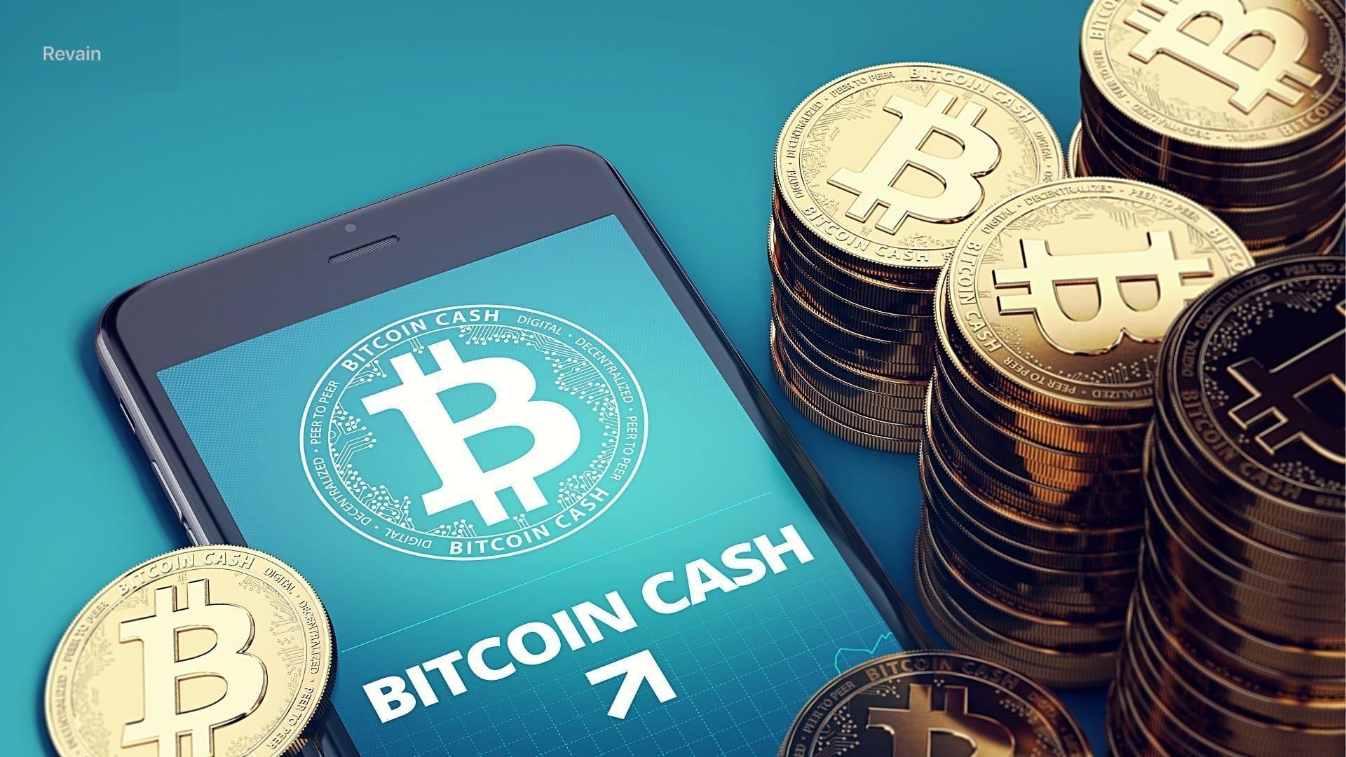 Bitcoin Cash (BCH) Surging: A Quick on Bitcoin’s Rival Bitcoin - Coin Bureau