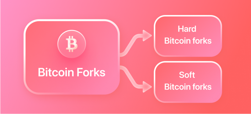 Checking the state of Bitcoin Ordinals in - AMBCrypto