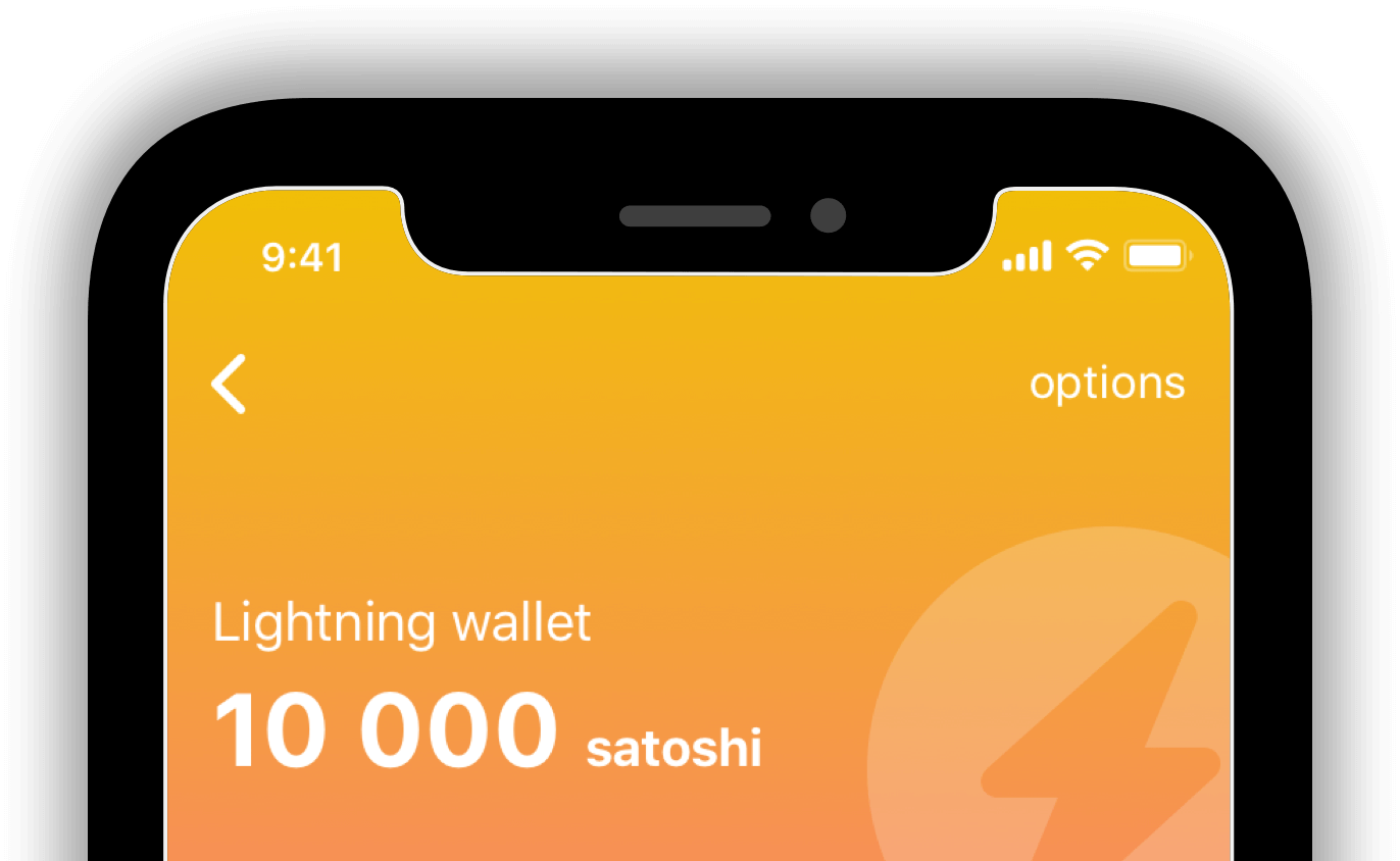 The 8 Best Bitcoin Lightning Wallets for | OriginStamp