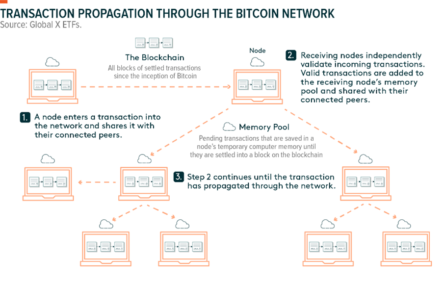 The Bitcoin Network: Node Types and Roles | Saylor Academy