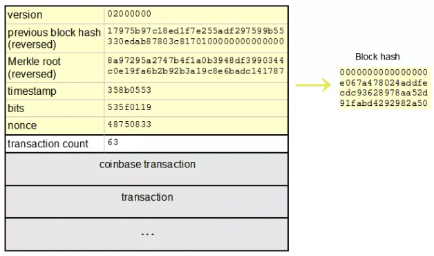 The NSA and Bitcoin: Origins of the SHA Hashing Algorithm