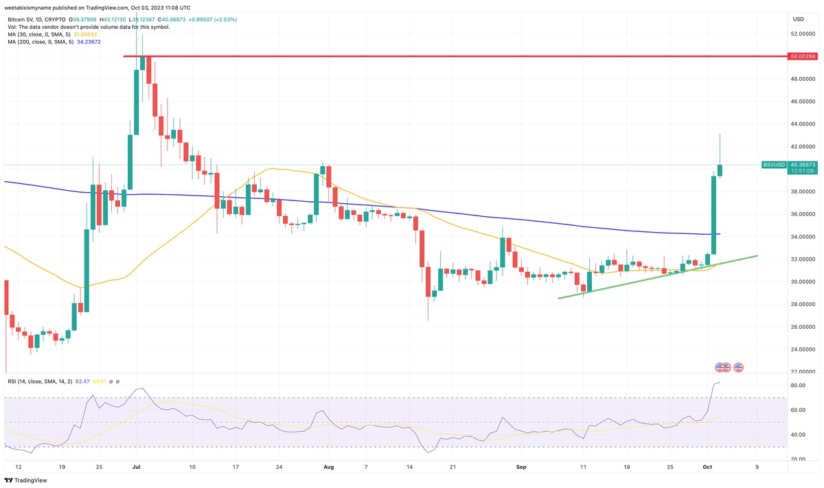 Bitcoin SV (BSV) Price Prediction - 