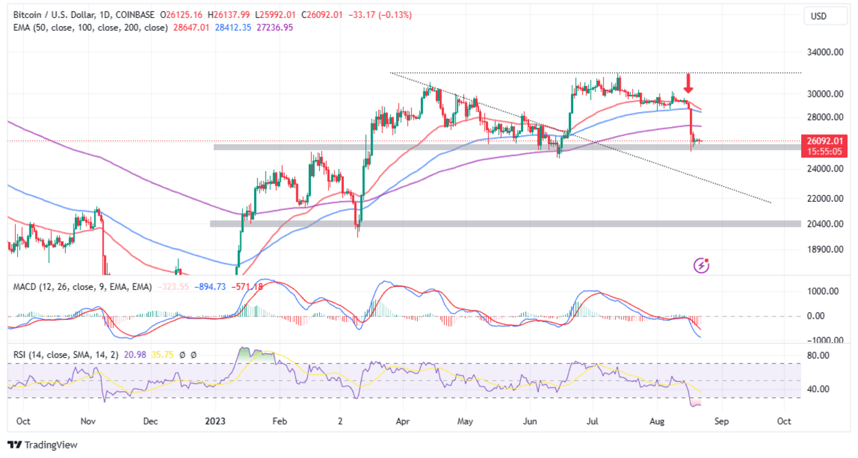 55 BTC to USD - How much is 55 Bitcoin worth in Dollars right now?