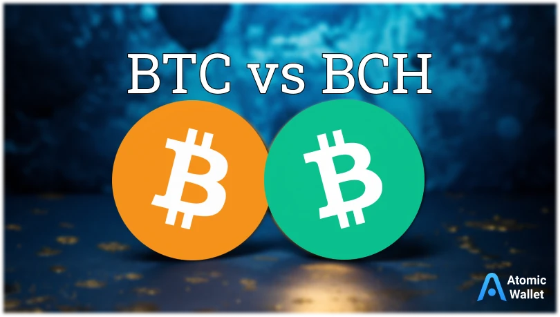 BTC to BCH Exchange | Convert Bitcoin to Bitcoin Cash on SimpleSwap