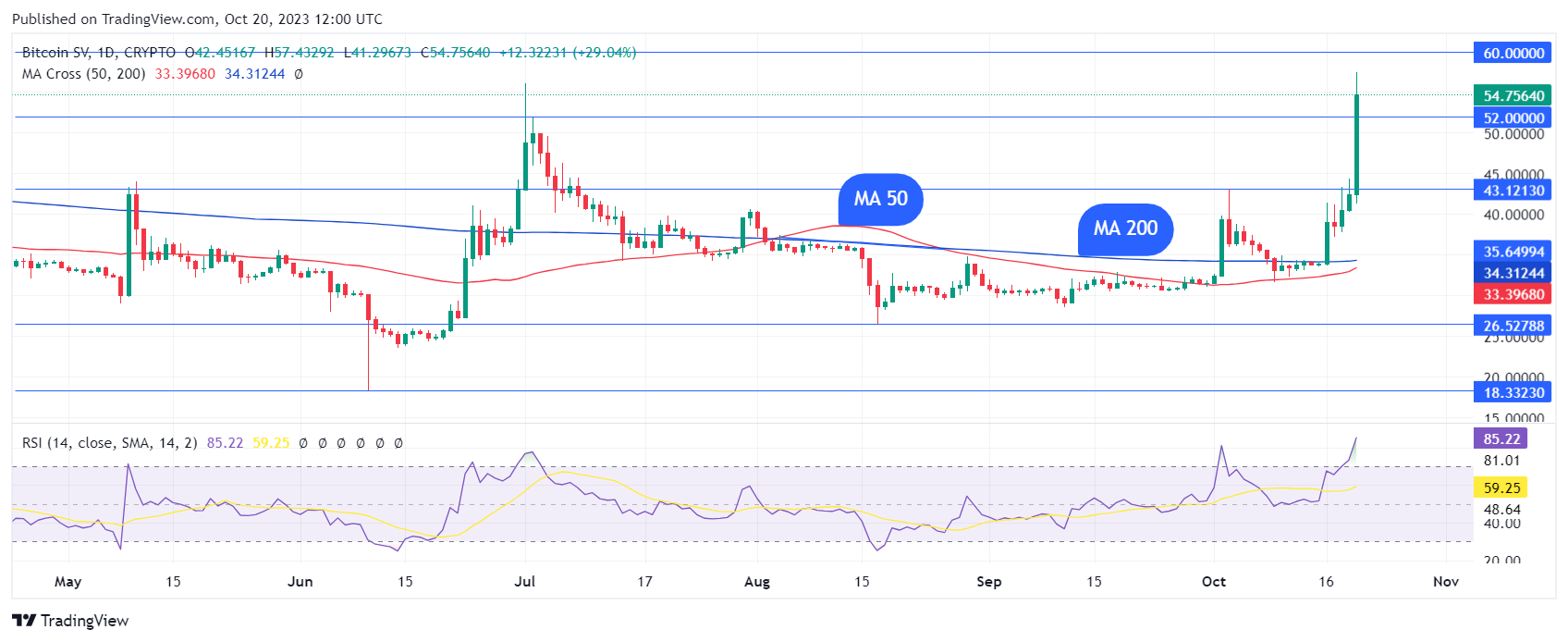 Bitcoin SV Delisted from Binance Amid Craig Wright Controversy