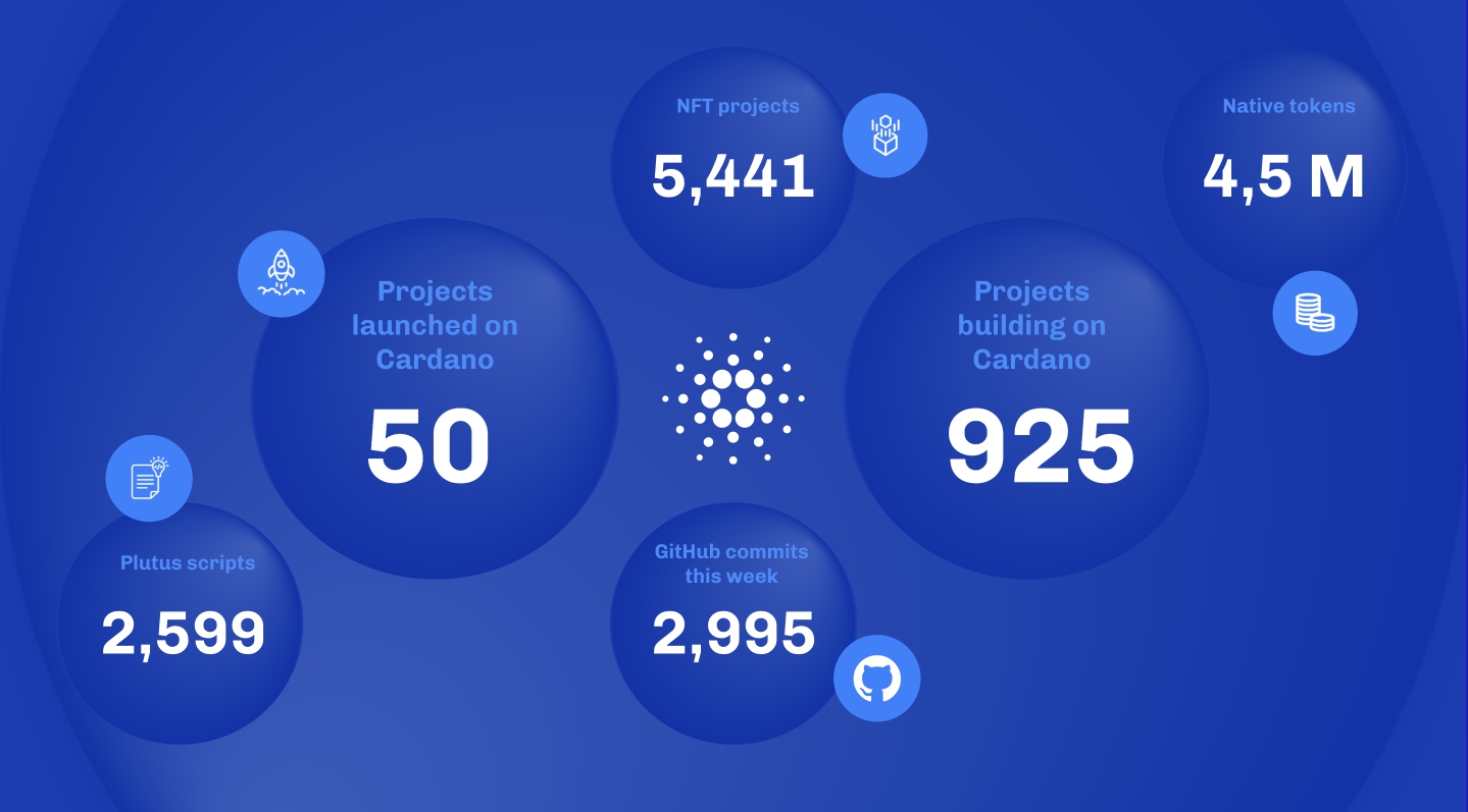 Shelley Phase Definition | CoinMarketCap