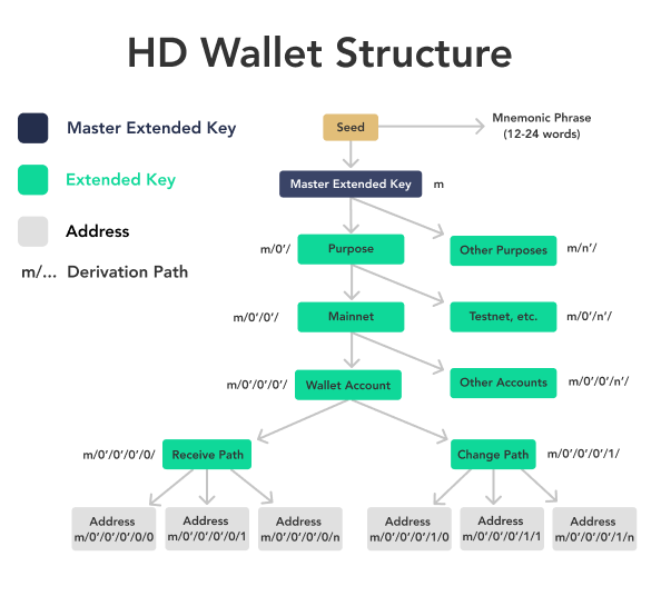 How Does A Crypto Wallet Work? | Ledger