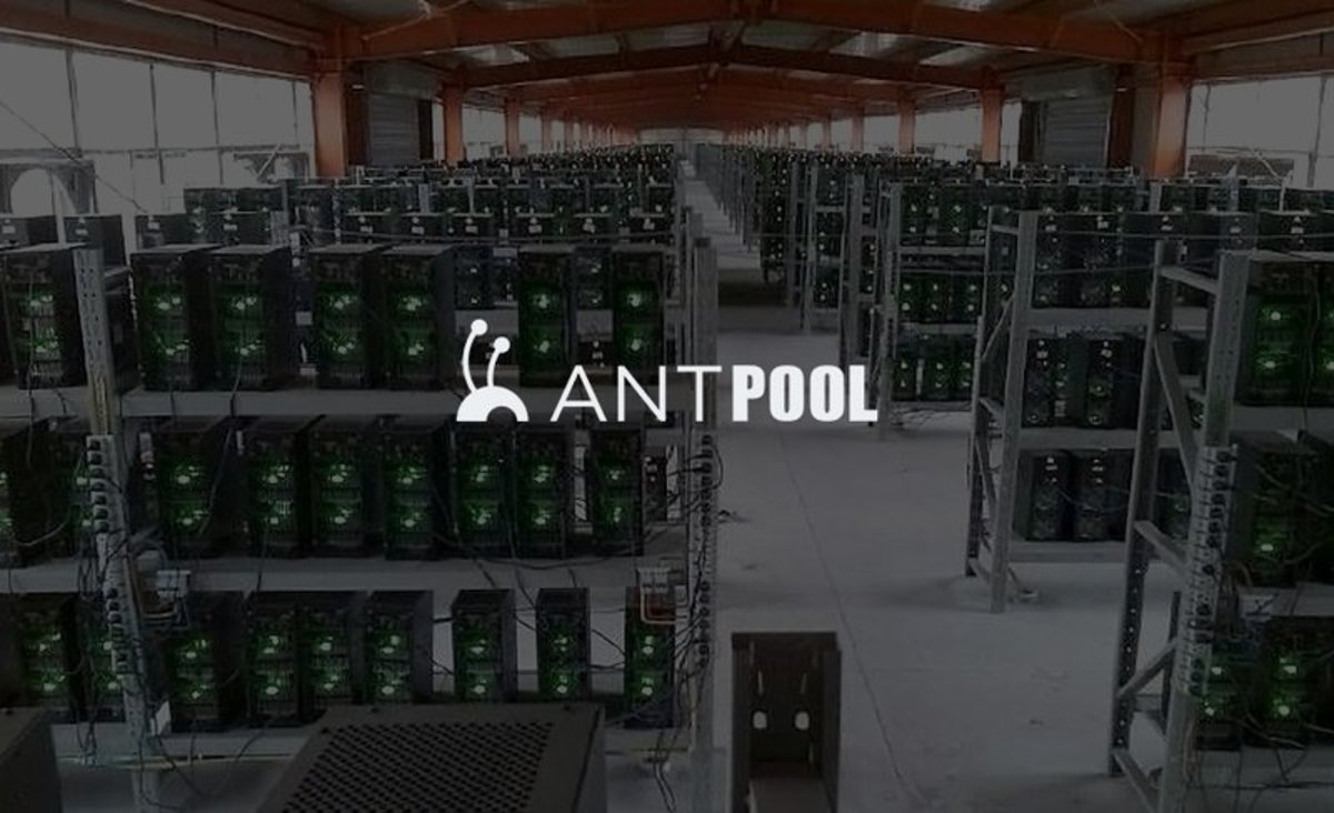 Connect Antminer D3 to the mining pool-Antpool | Zeus Mining