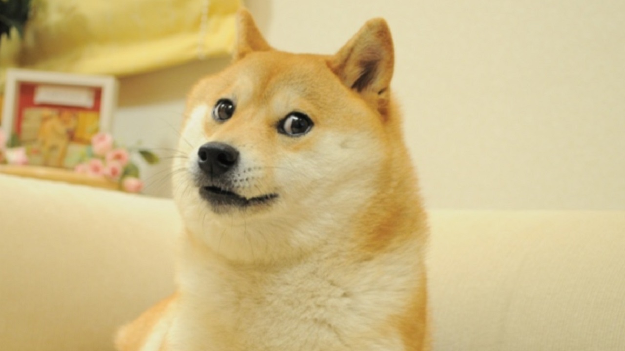 Operate a Dogecoin Node - Dogecoin