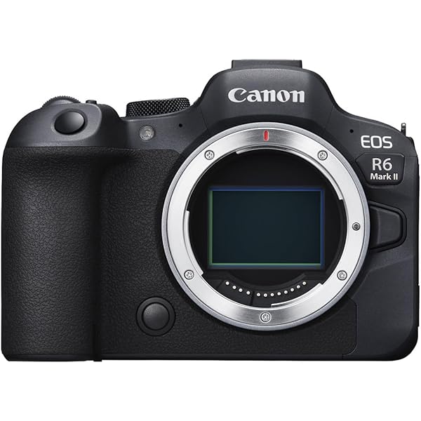 cryptolove.fun : Canon EOS R5 Mirrorless Digital Camera with mm f/4L Lens : Electronics