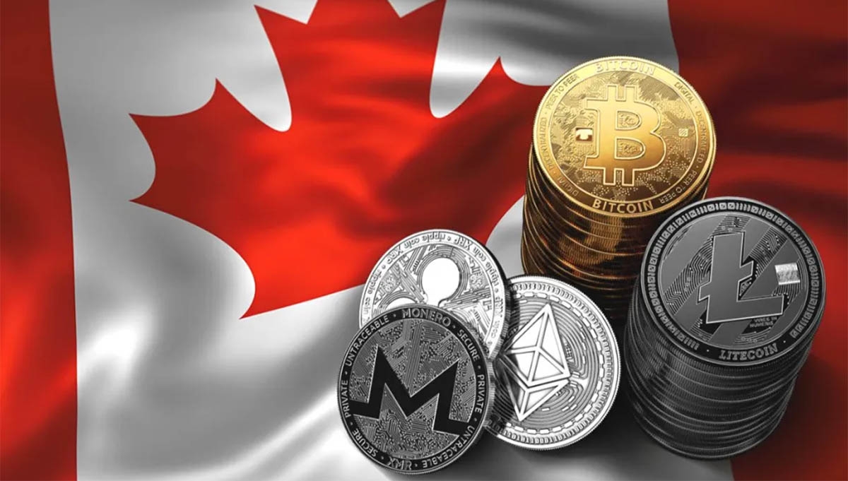 Cryptocurrency Trading Ottawa | Superprof