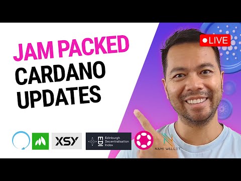 Cardano: Latest News, Social Media Updates and Insights | cryptolove.fun