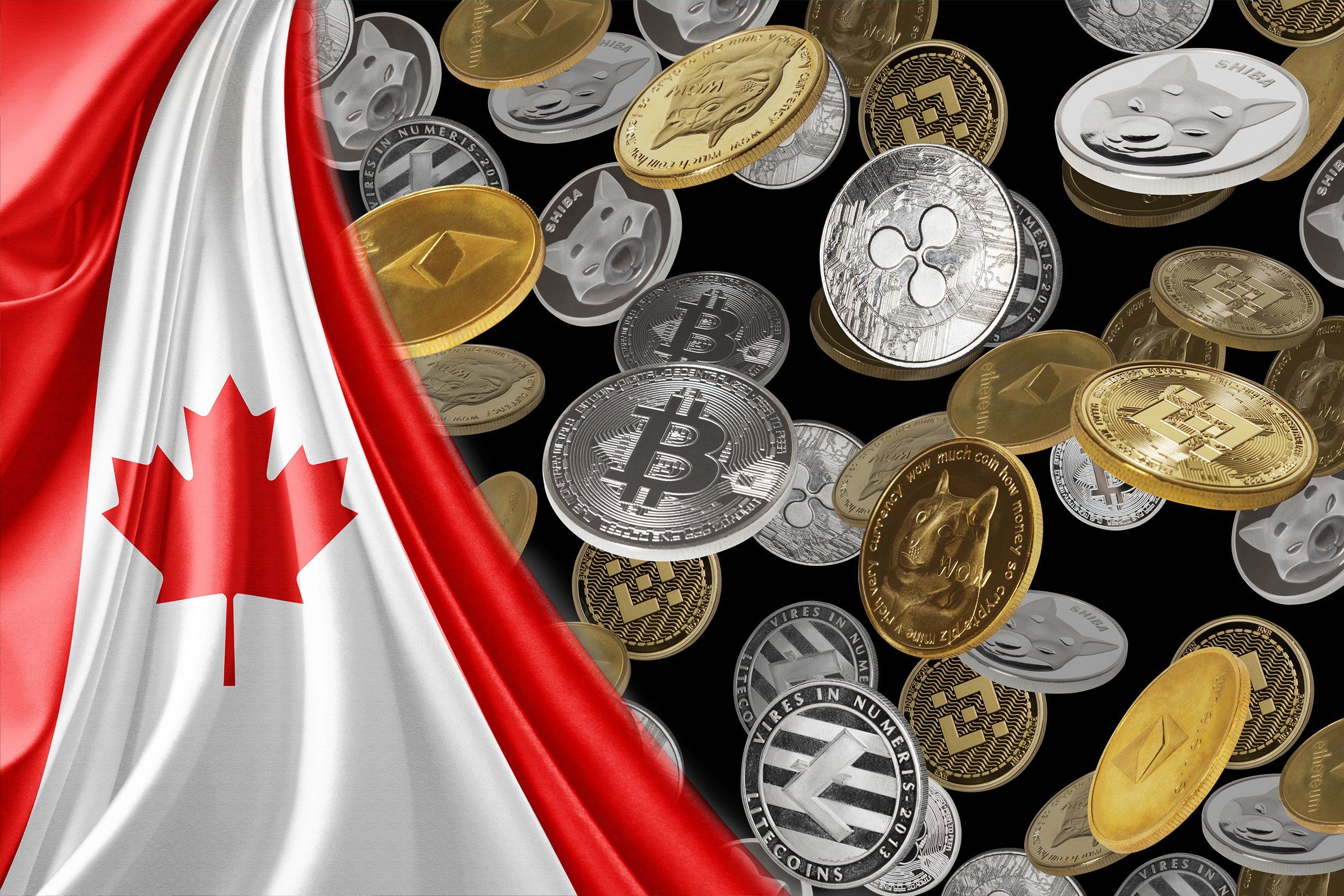 bitcoin canada: How to Buy Bitcoin in Canada - Beginner’s Guide - The Economic Times