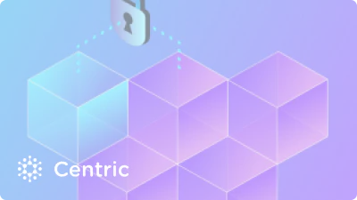 Game-Changing Crypto Payments with Centric | NOWPayments