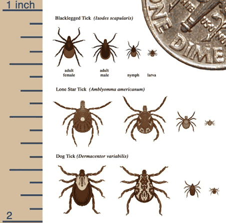 Updates on Tick Size for Spot Trading Pairs ( & ) - Binance | CoinCarp