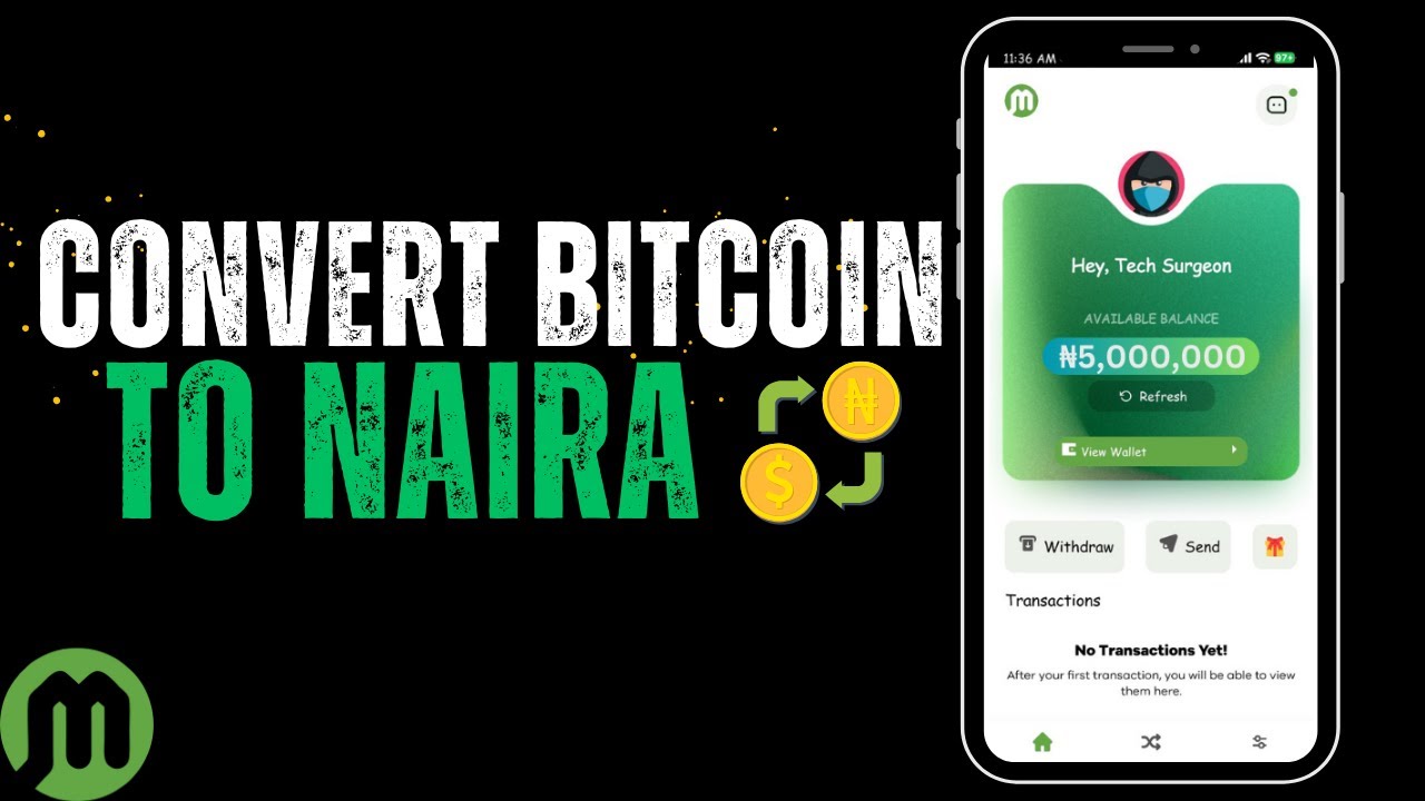 Convert 2 Bitcoin to Nigerian Naira (2 BTC to NGN) - MeteorConverter