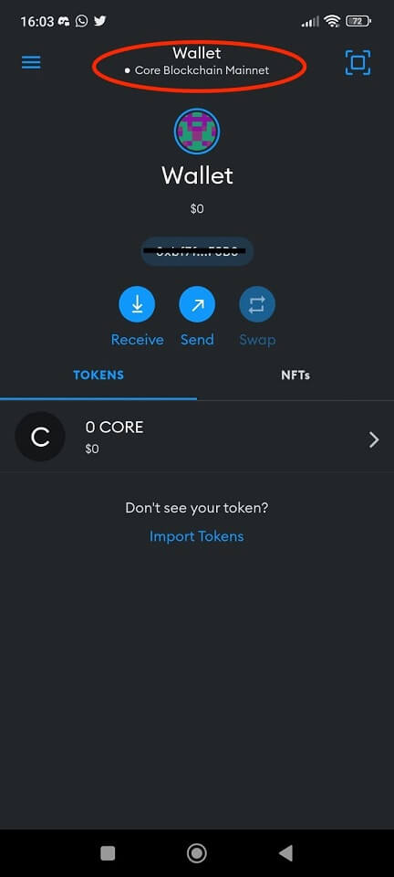 How to Add Core to MetaMask