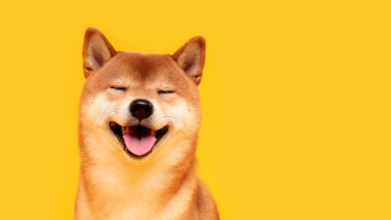 Buy Dogecoin - DOGE Price Today, Live Charts and News