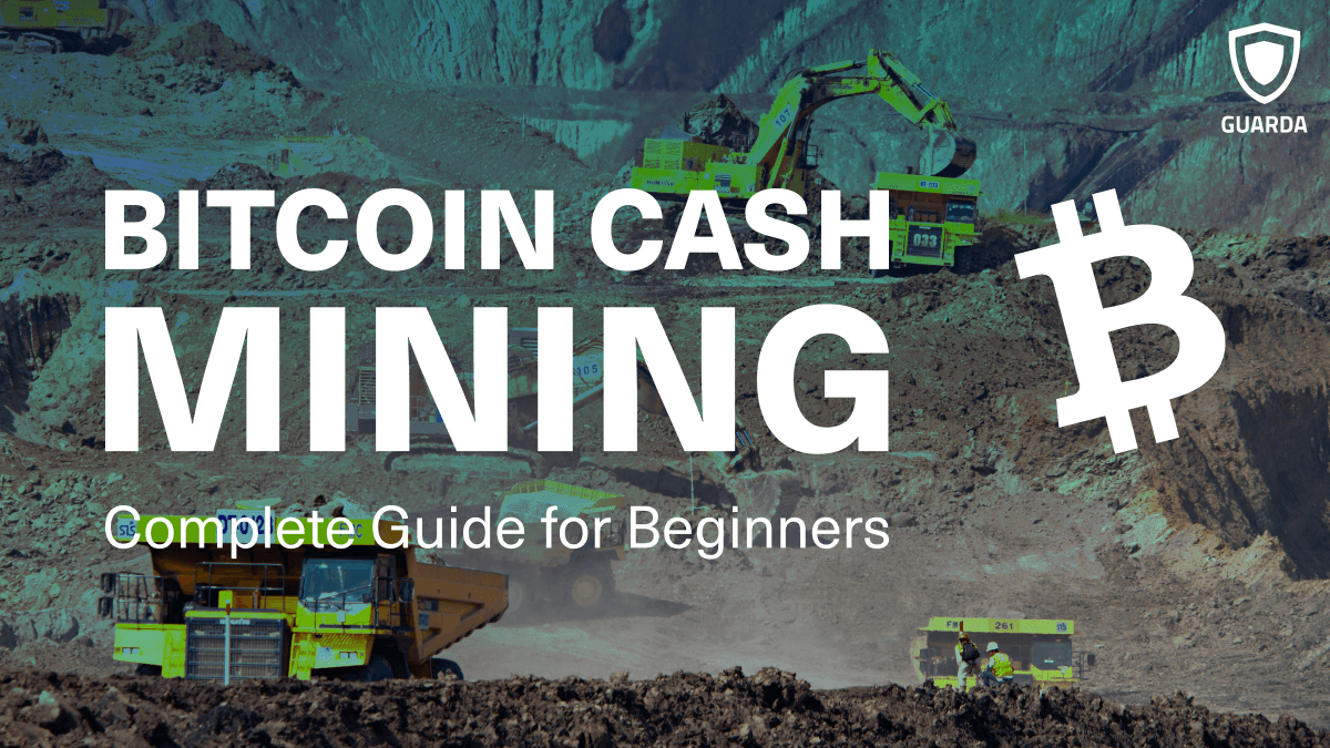 How to mine Bitcoin Cash (BCH) - Bitnovo Blog