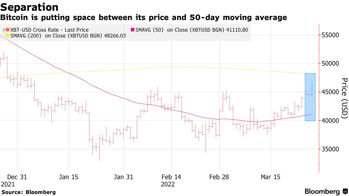 Stock Chart Icon