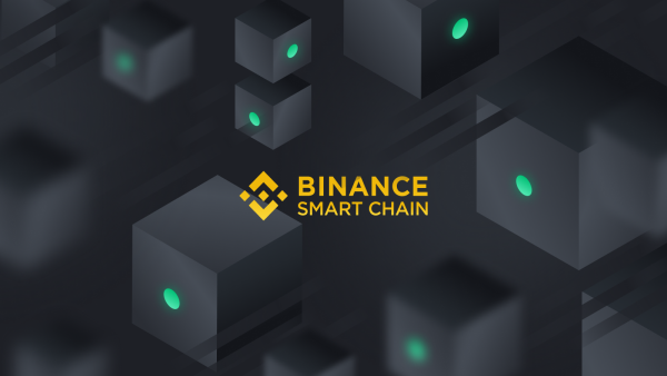 How To Use Binance Smart Chain (BSC) - Wealth Mastery By Lark Davis - Crypto Newsletter